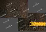 Пружина внешняя WG2229020002 Пружина внешняя WG2229020002